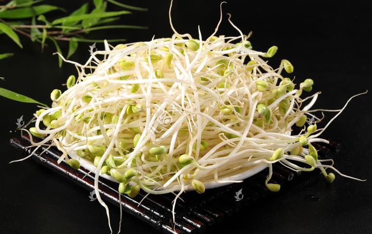 無公害綠色豆芽，怎麽生産出來的？全套生産過程如此方便智能