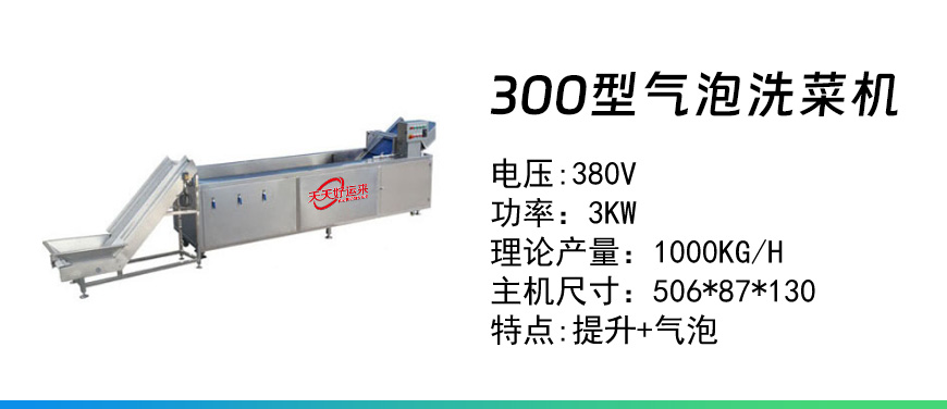 300氣泡洗菜機.jpg